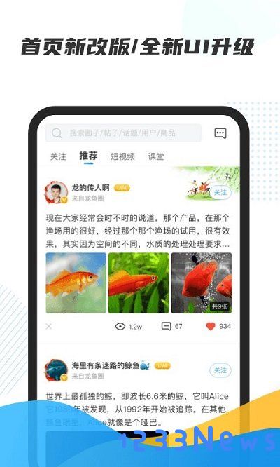 龙巅商城官方版下载
