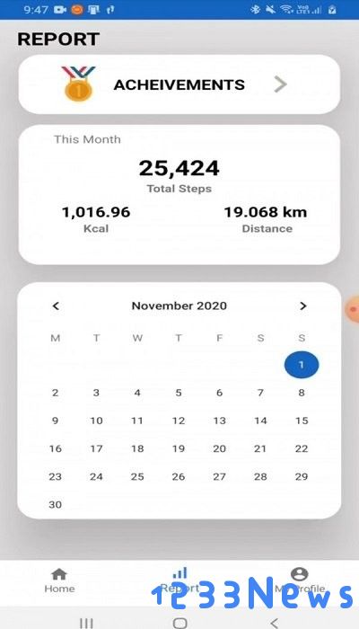 flaming phenix sports pedometer软件免费下载