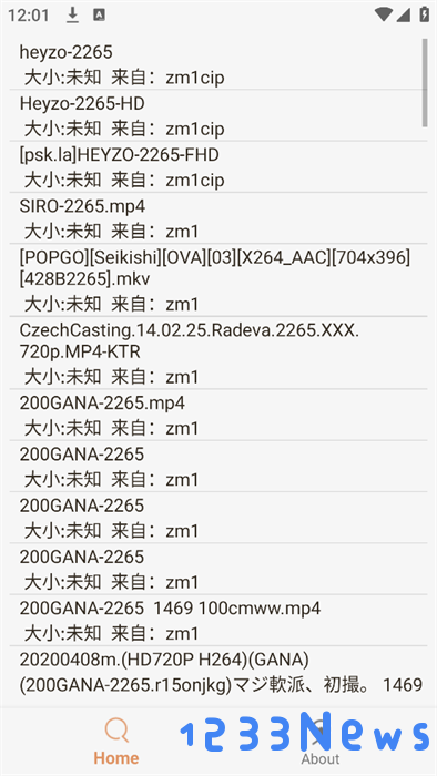 飞土搜磁力搜索工具