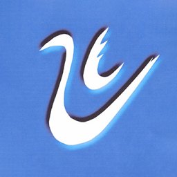 云上柘城客户端