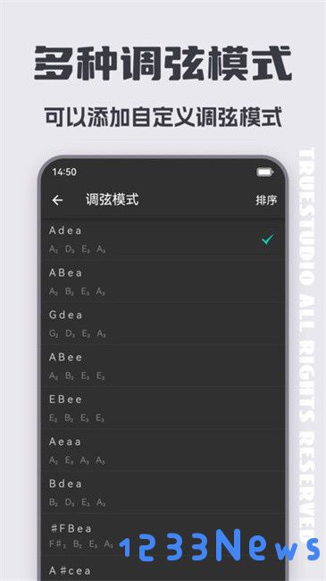 琵琶调音大师app