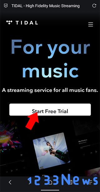 tidal注册教程
